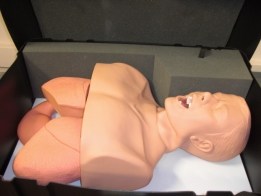Intubation models AirSim Multi Advanced