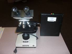 Microscope_slides.JPG
