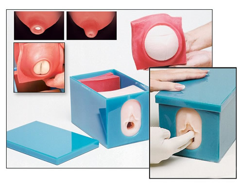 Fetal Monitoring