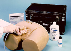 Male Catheterization Simulator