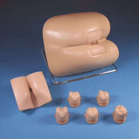 Rectal Examiner