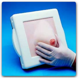 Examination & Diagnostic Breast Simulator
