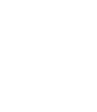 The University of Iowa Libraries