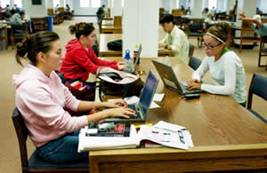 Students studying at the Main Library