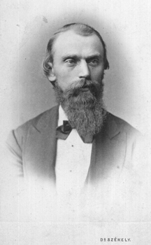 Portrait of University of Iowa professor Gustavus D. Hinrichs.