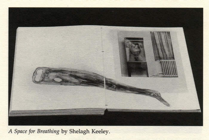 An artist's book