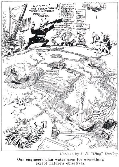 Ground Water Table Story - Darling Cartoon