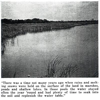 Ground Water Table - marshes