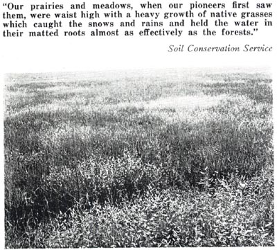Ground Water Table - prairies and meadows