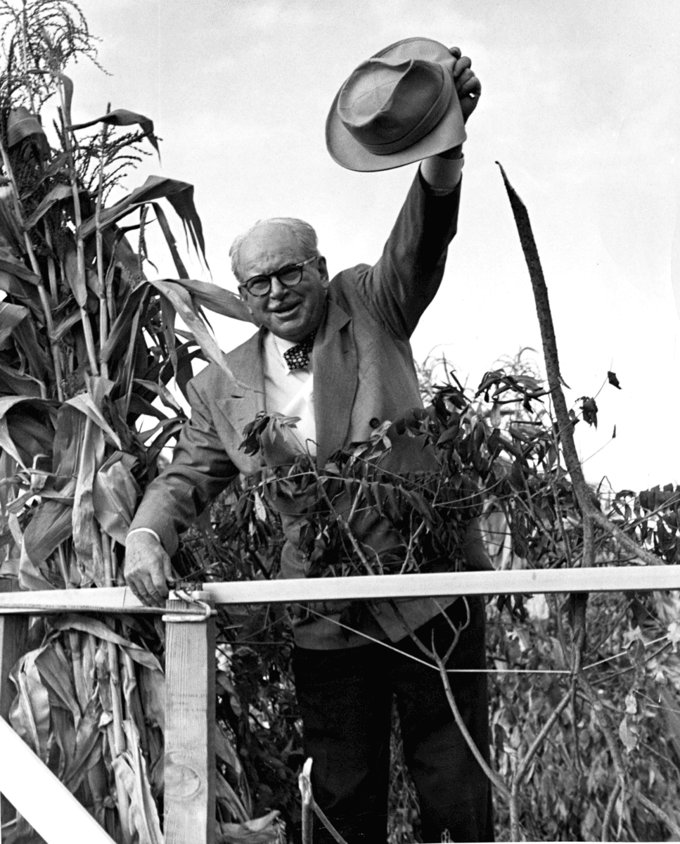 Black and white photo of Ding Darling in older years waving with his hat from a cornfield.