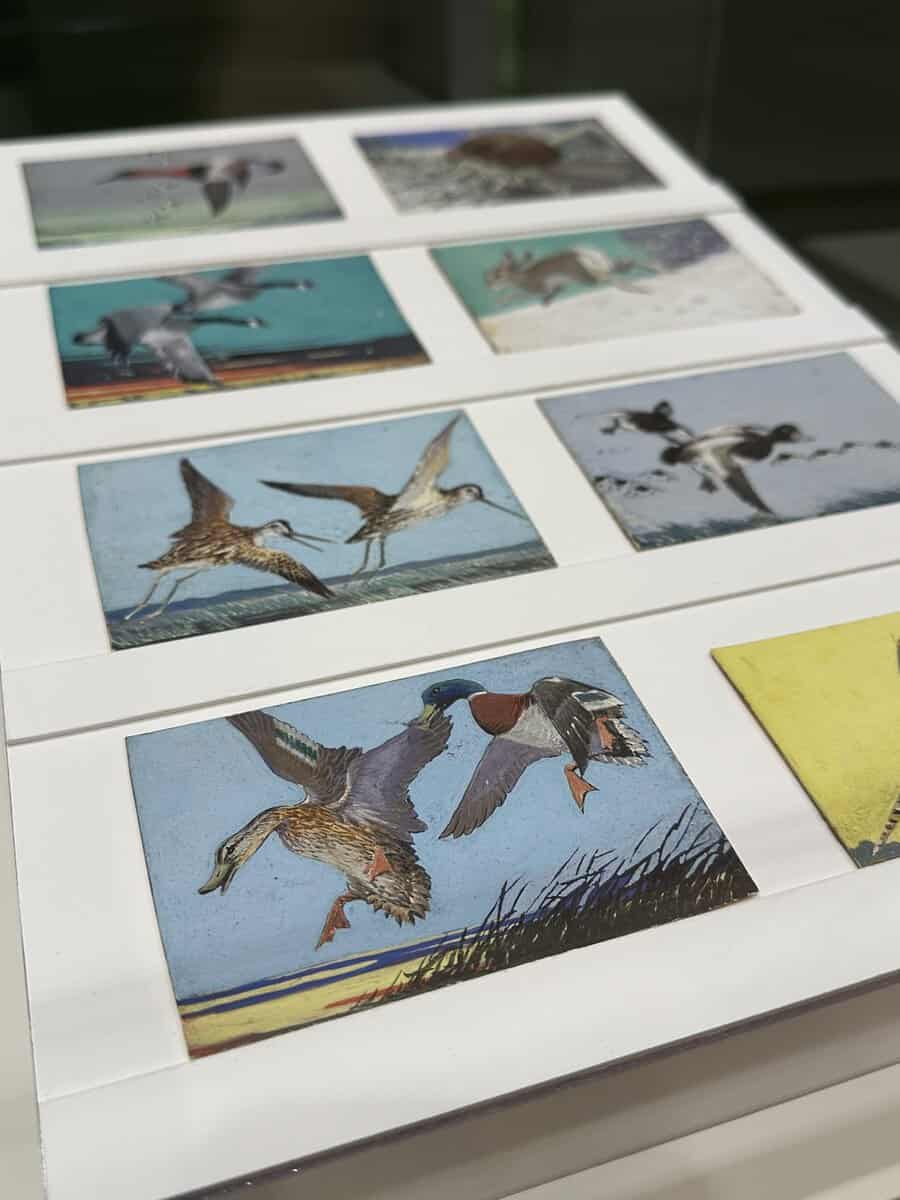 Photo featuring eight small watercolor paintings of wildlife, including mallards and other ducks.