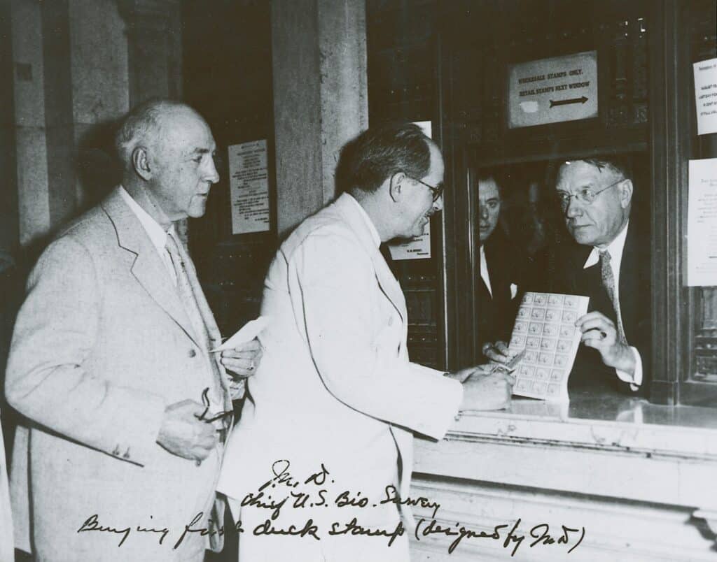Ding Darling stands at a postal counter to buy the duck stamp he designed himself.