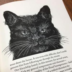 Drawing of Black Cat