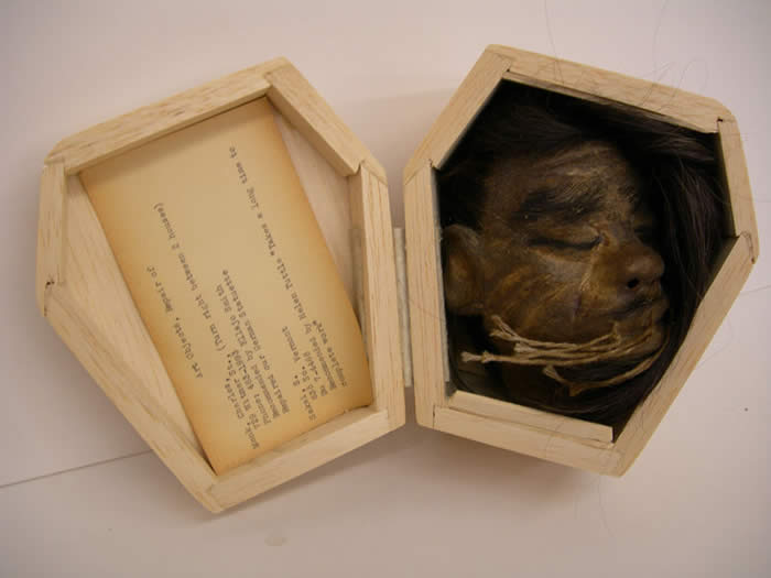 Imitation Shrunken Head
